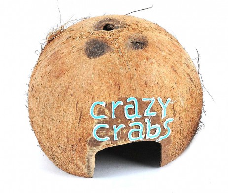 Scruffy Coconut Hut (Natural)