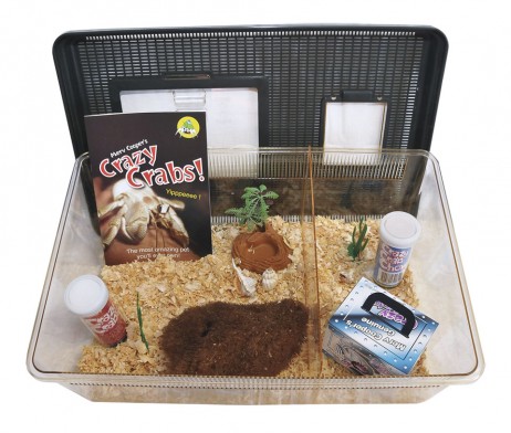 NEW Extra Large Tank