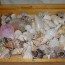 Mixed bag of shells